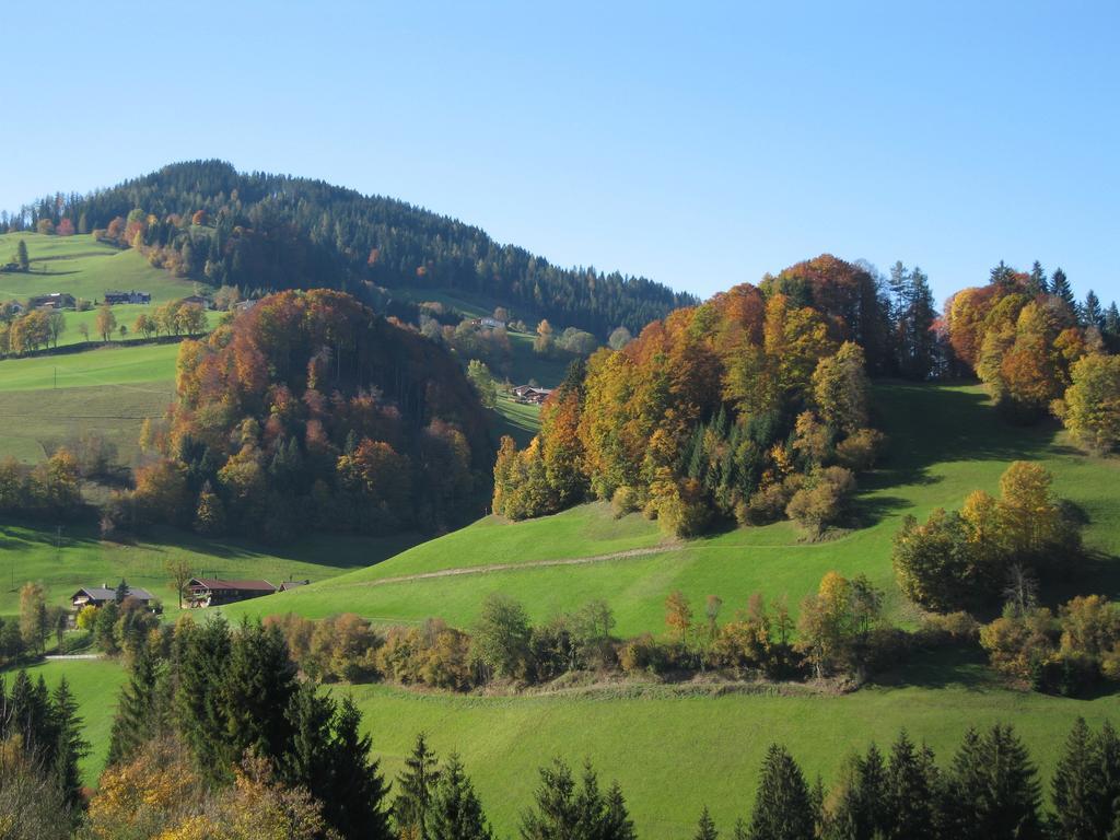 Appartement Gwiggner Niederau Exteriör bild