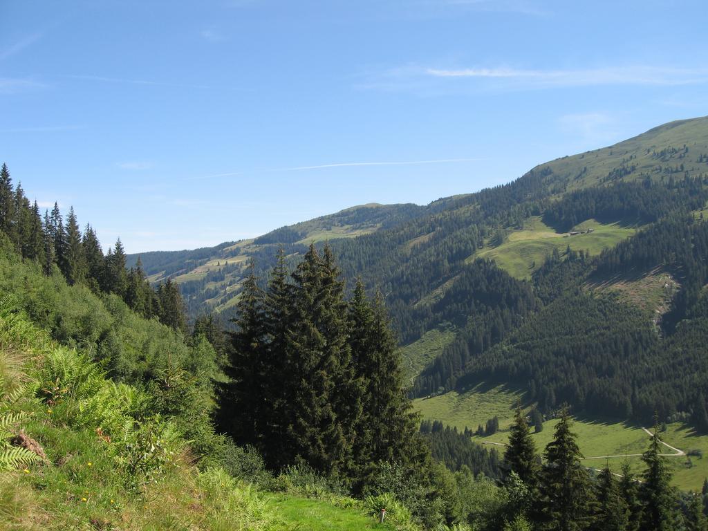 Appartement Gwiggner Niederau Exteriör bild