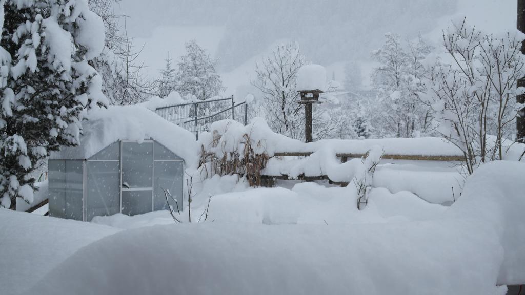 Appartement Gwiggner Niederau Exteriör bild
